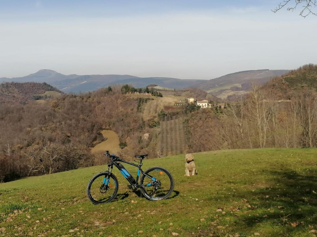 Il Castagneto Bed & Breakfast Camerino Exterior foto