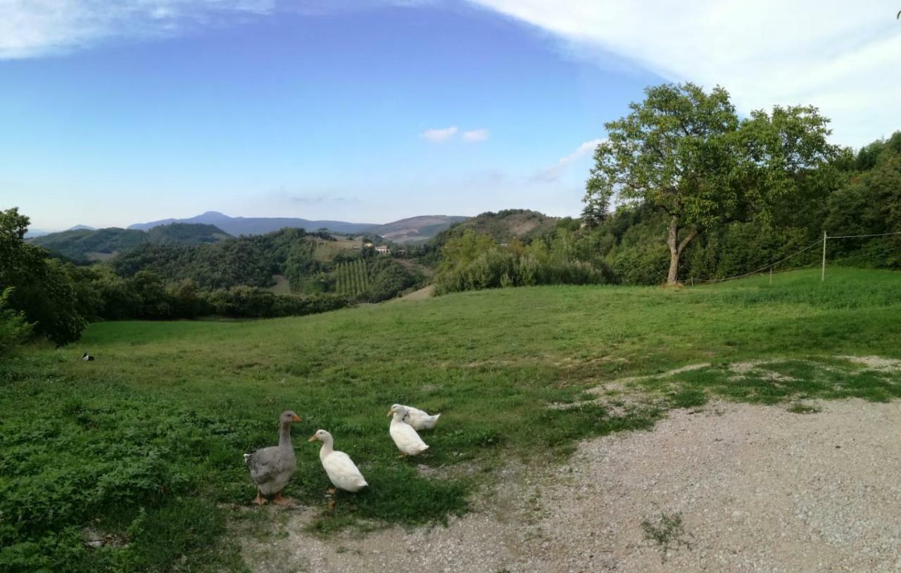 Il Castagneto Bed & Breakfast Camerino Exterior foto