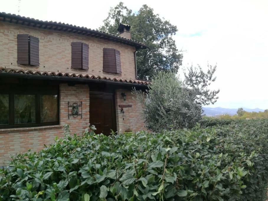 Il Castagneto Bed & Breakfast Camerino Exterior foto